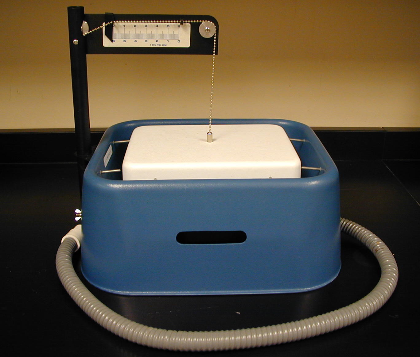 Biology 2404 A&P Basics